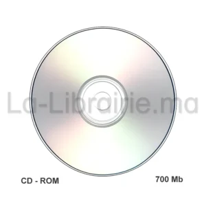 CD - ROM vierge 700 Mb