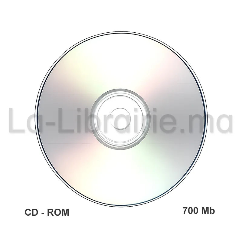 CD - ROM vierge 700 Mb