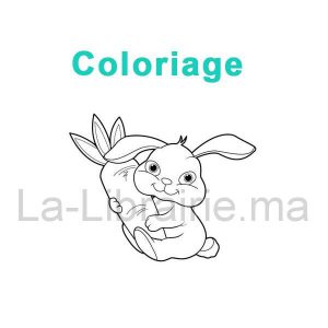 Image du produit 8 Feuilles de coloriage