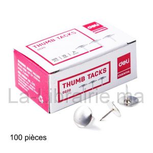 Image du produit Boite 100 punaises en acier