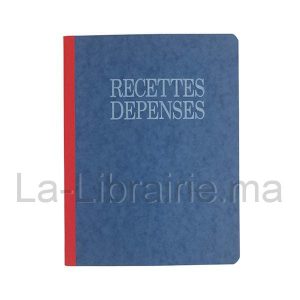 Image du produit Recettes dépenses - 21 x 29,7 cm