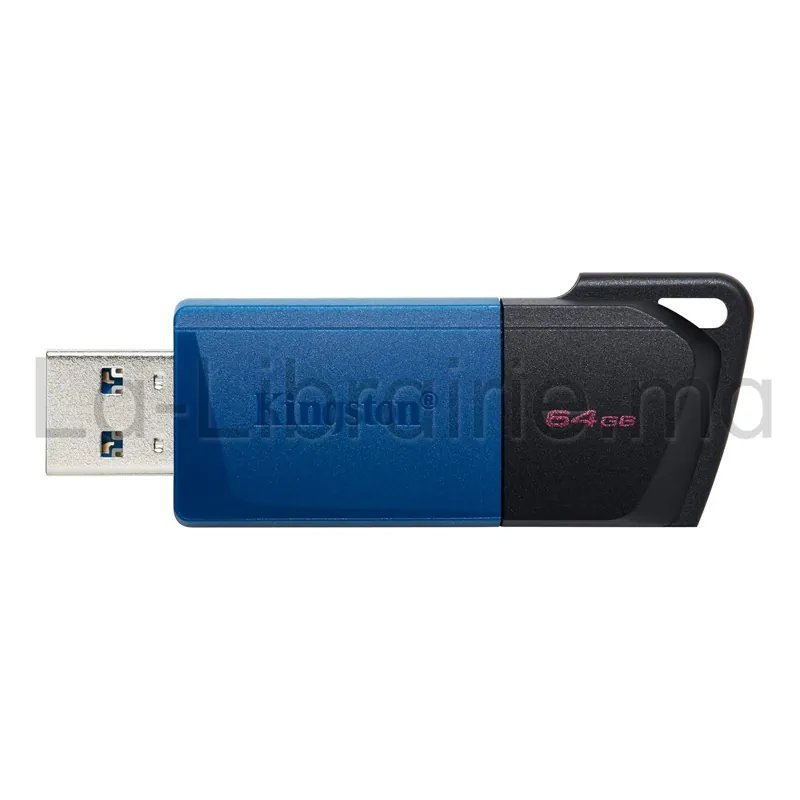 Clé USB Kingston 64 Go, DataTraveler Exodia M