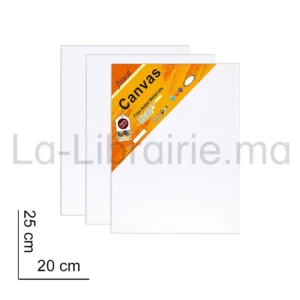 Tableau en toile de 20 x 25 cm