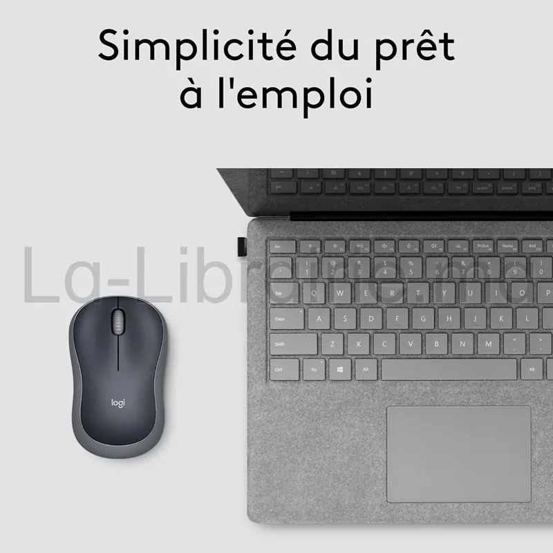 Souris sans fil Logitech M185