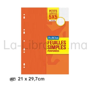 Feuilles mobiles perforées petits carreaux 5 x 5 mm