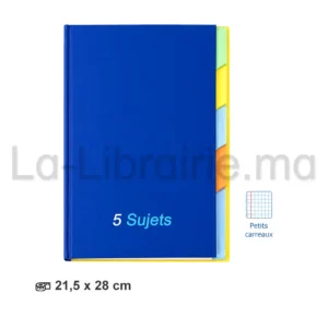 Registre 5 sujets sans spirale petits carreaux format 21,5 x 28 cm